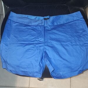 The Limited Women's Vibrant Blue Shorts